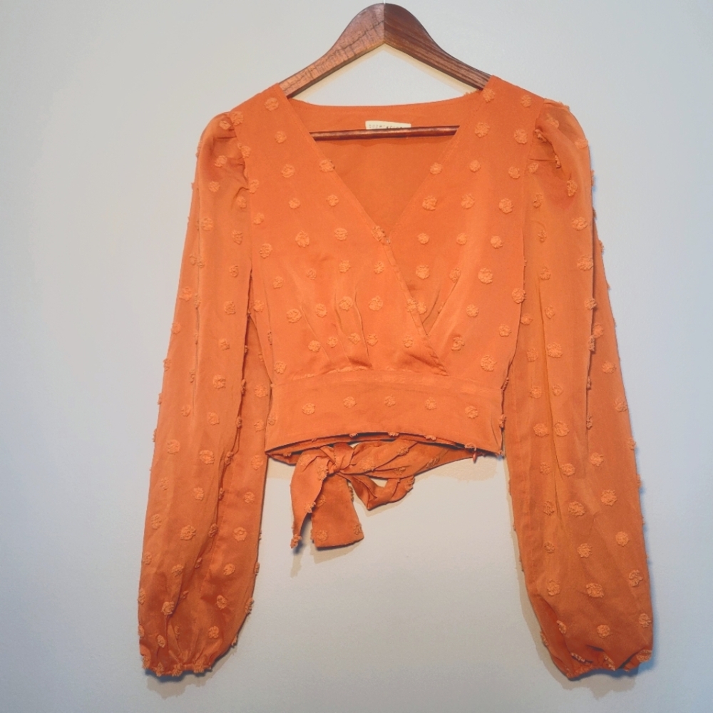 Paper Crane Rust Swiss Dot Wrap Long Sleeve Crop Top Side Zip Womens Size Small